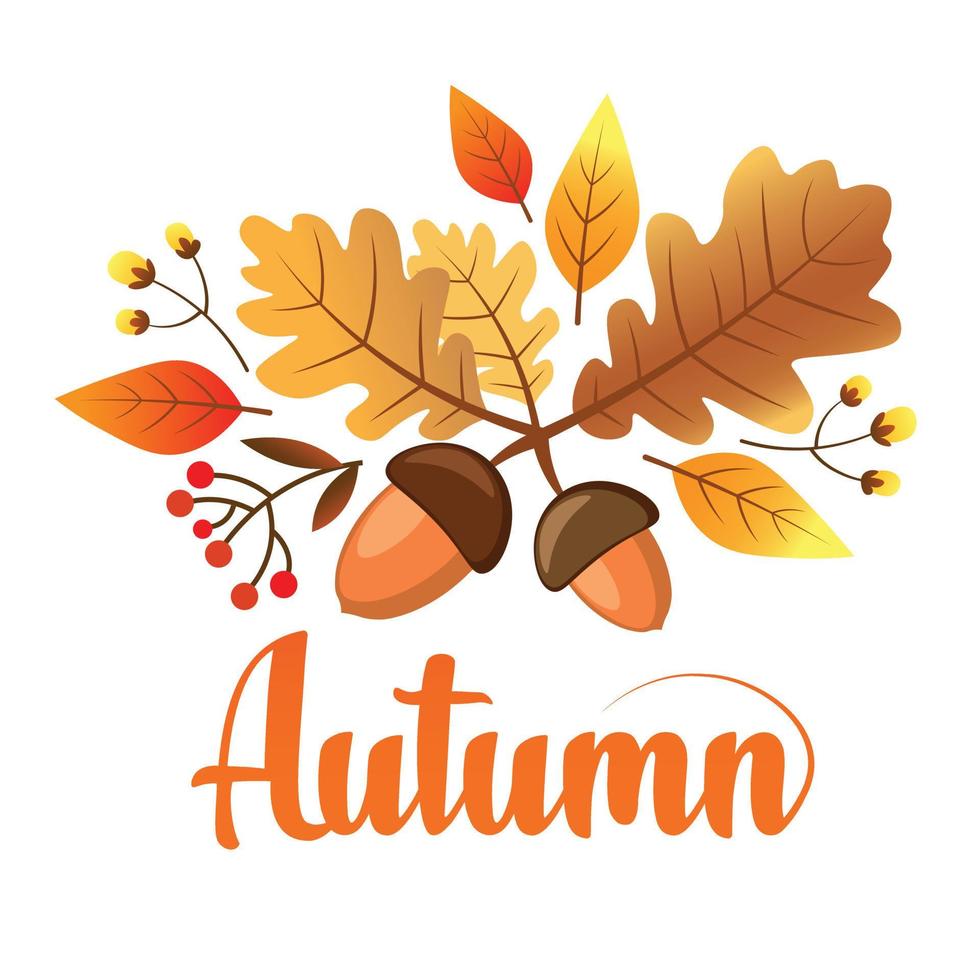 ilustración de vector de otoño de bellota, hojas y bayas para tarjeta de felicitación o póster