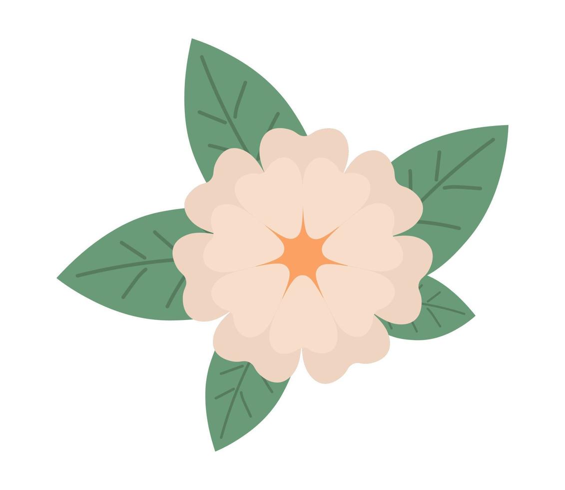 flower and foliage vector