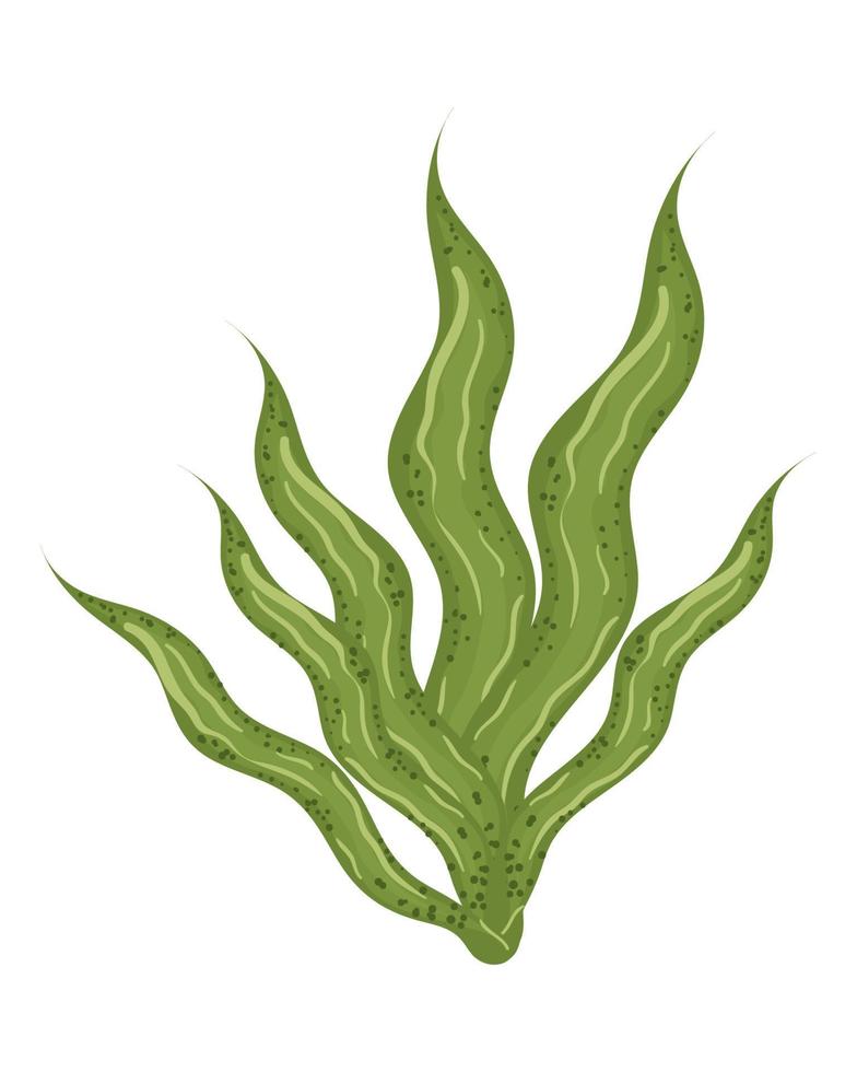 seaweed sea icon 10963187 Vector Art at Vecteezy