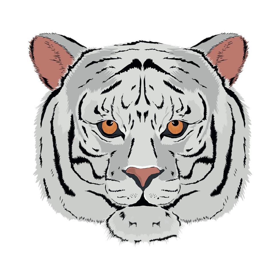 white tiger head vector