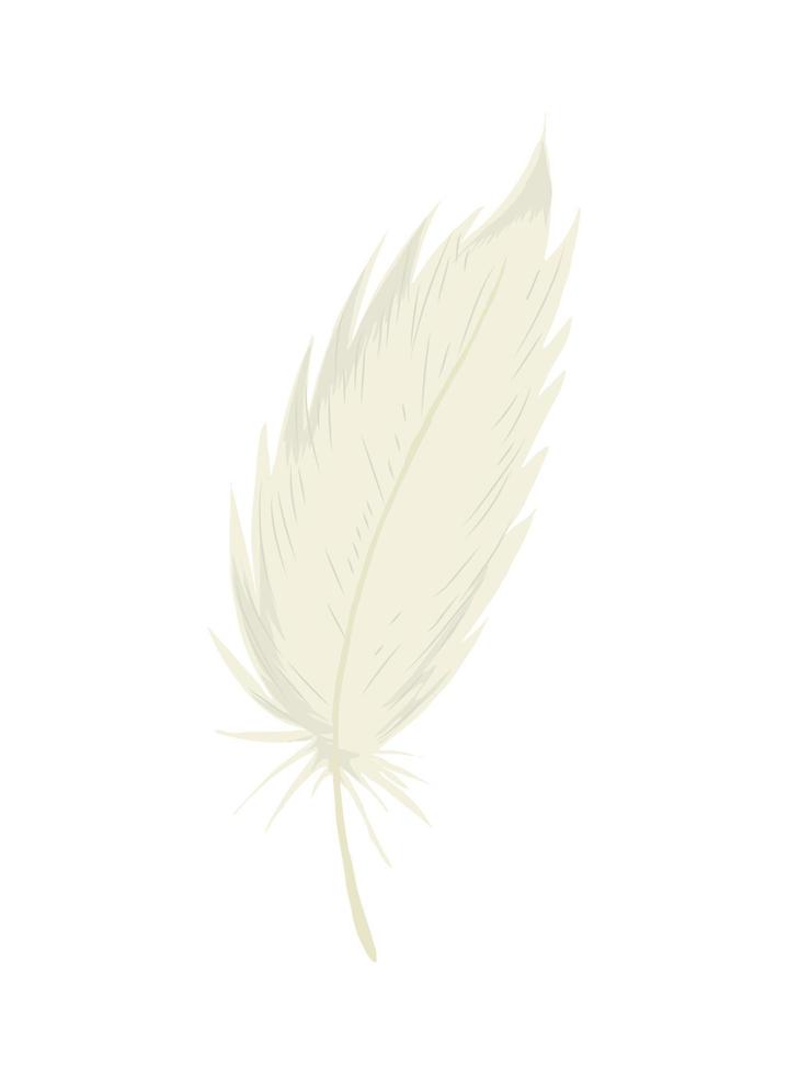 white bird feather vector