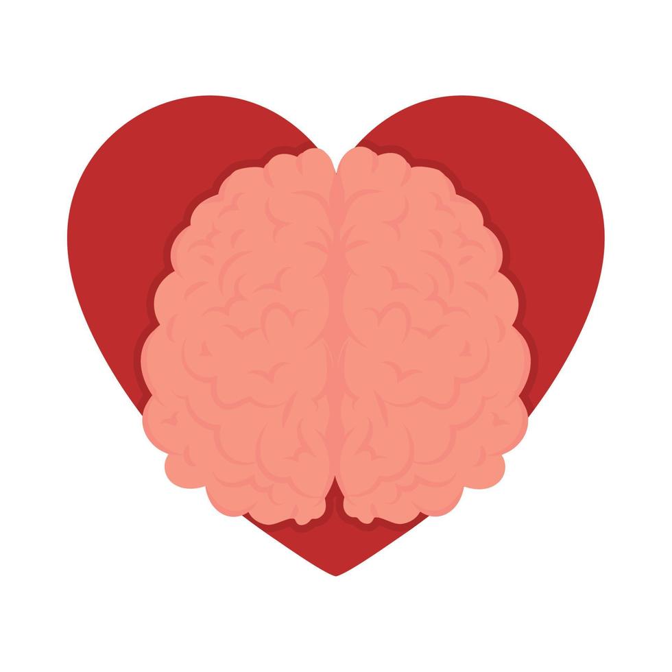 brain organ in heart vector