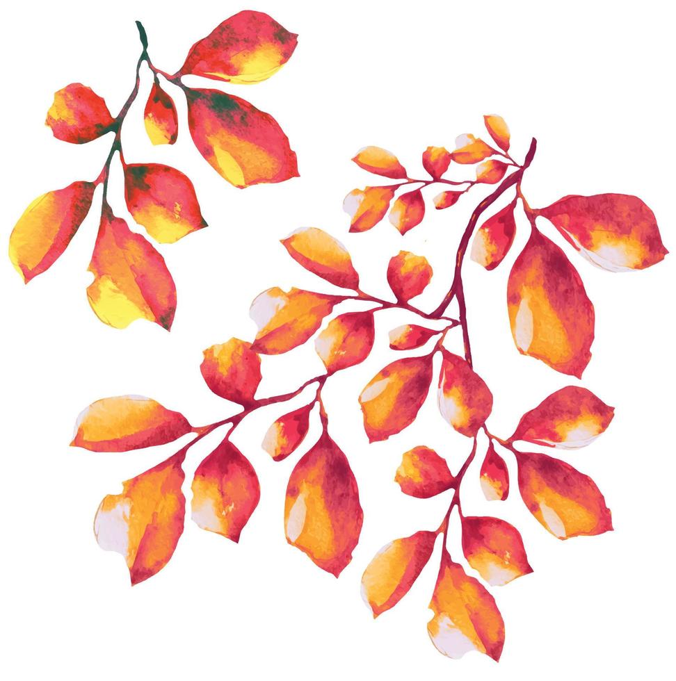 dried yellow leaves on a tree branch, autumn illustration watercolor vector