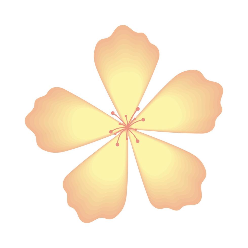 flower decoration isolated vector