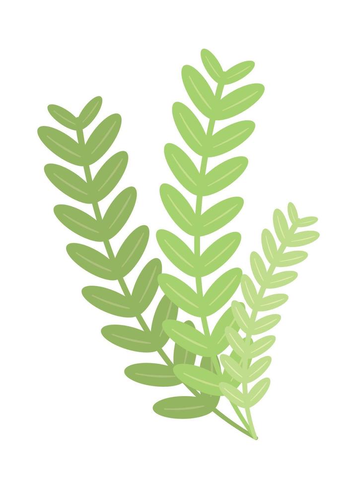 leaves foliage icon vector