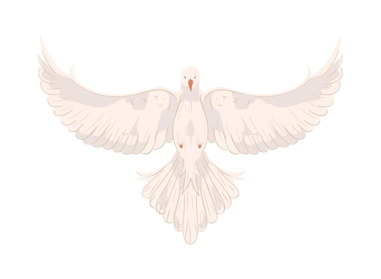 dove with open wings vector