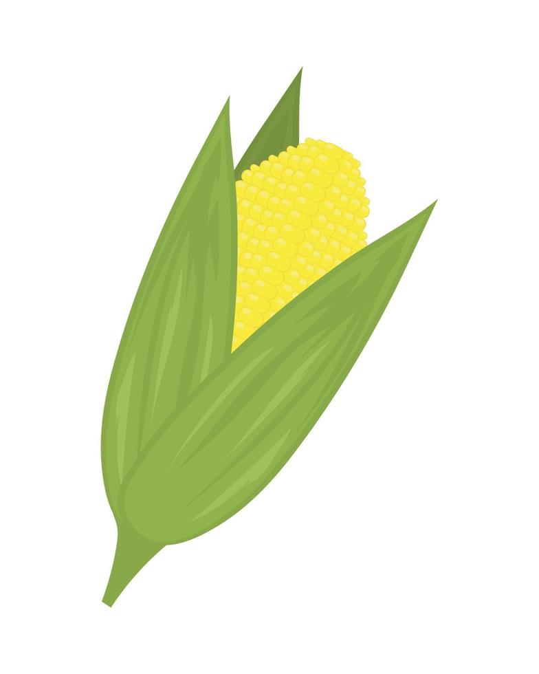 icono vegetal de maíz vector