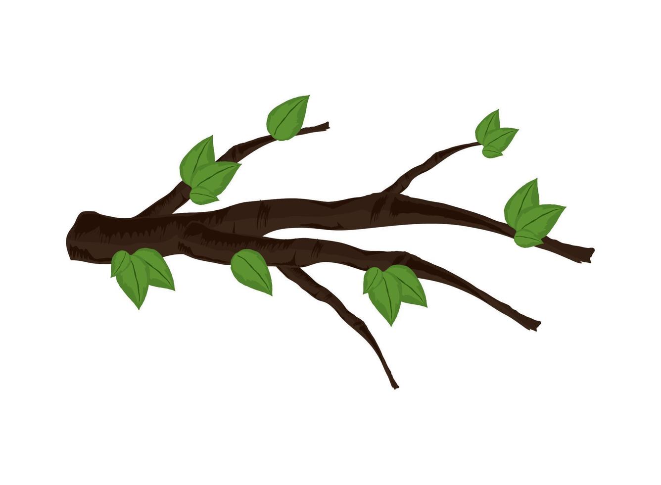 rama árbol hojas vector
