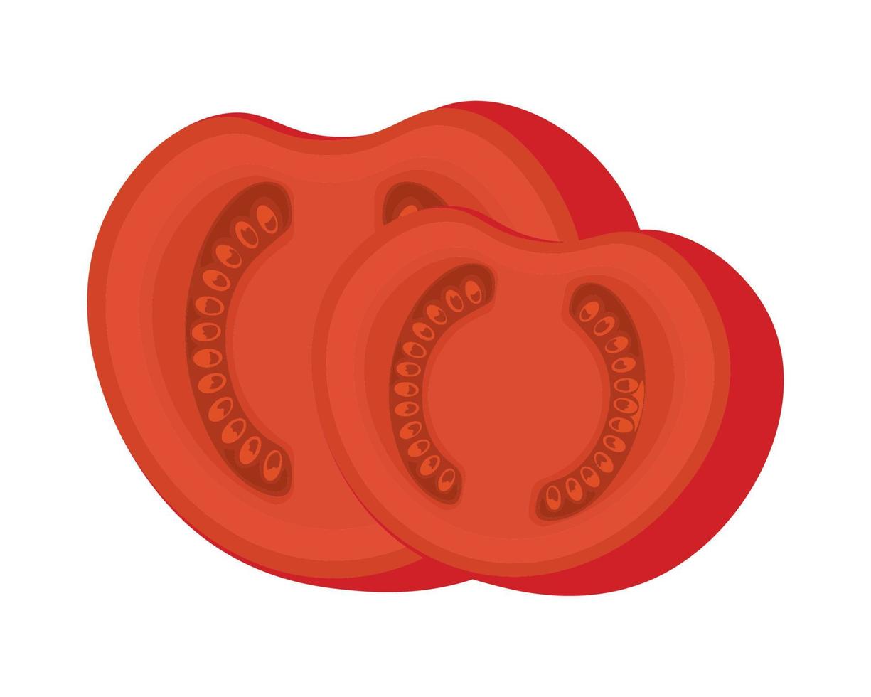 slice of tomato vector