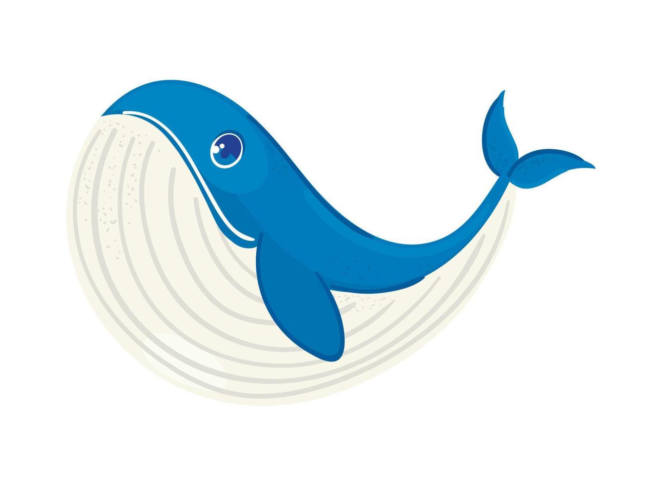 whale sea life vector