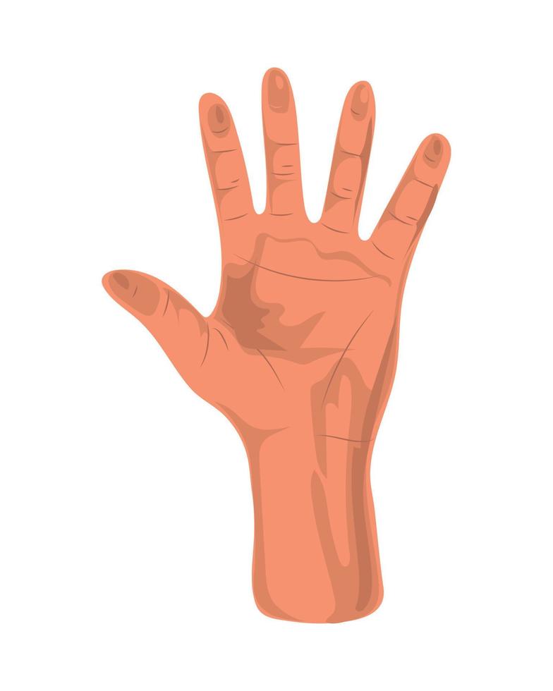 raised open hand vector