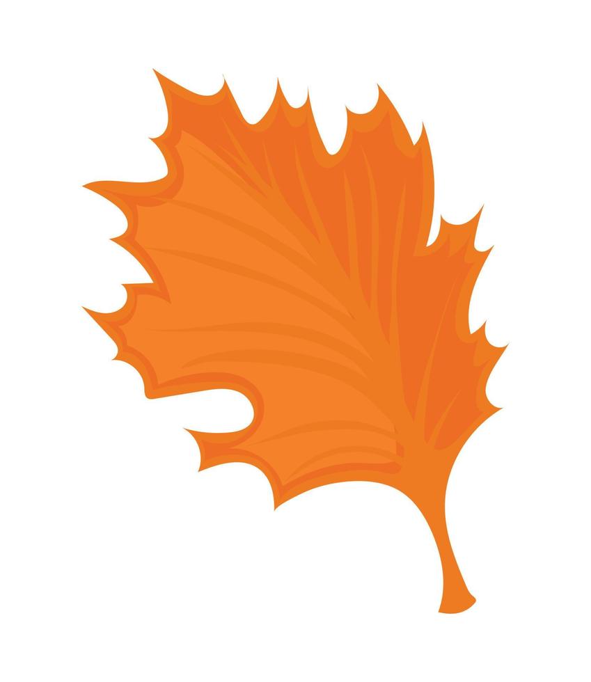 autumn leaf icon vector