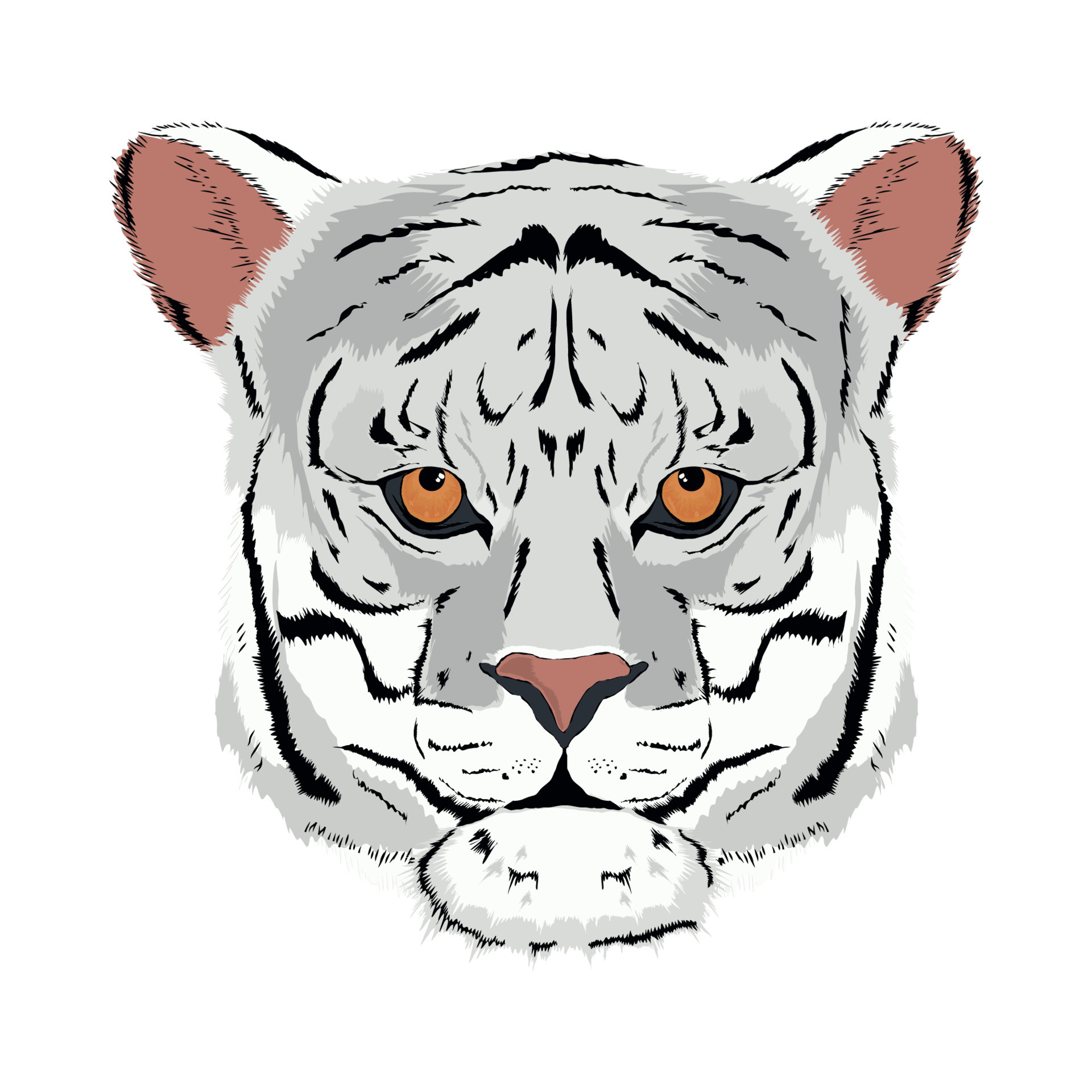 white tiger face 10964280 Vector Art at Vecteezy
