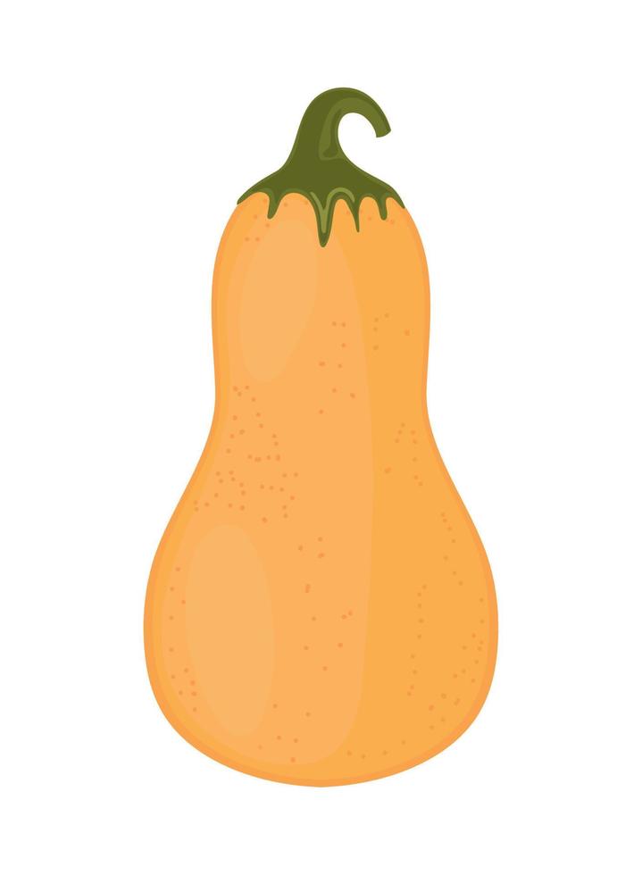 pumpkin icon white background vector