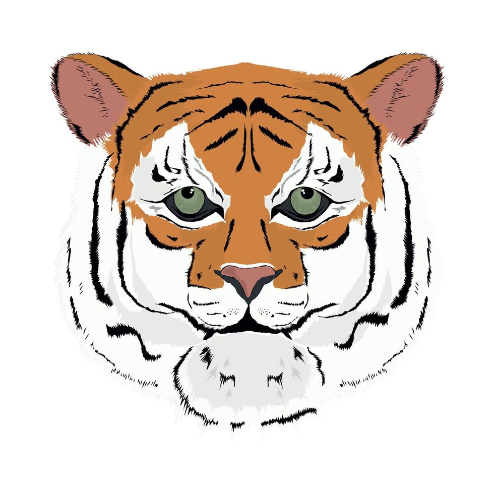 tiger head feline vector