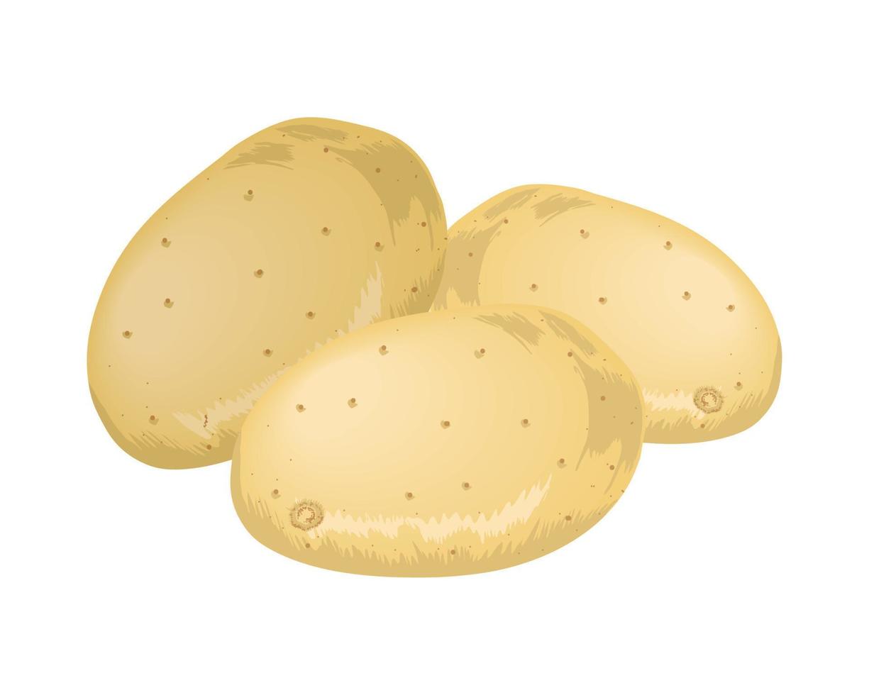 potatoes tuber icon vector