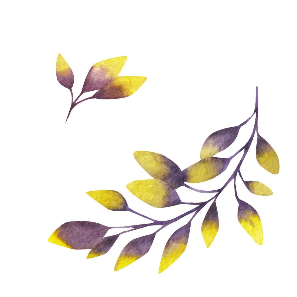 Set of watercolor abstract leaves vector