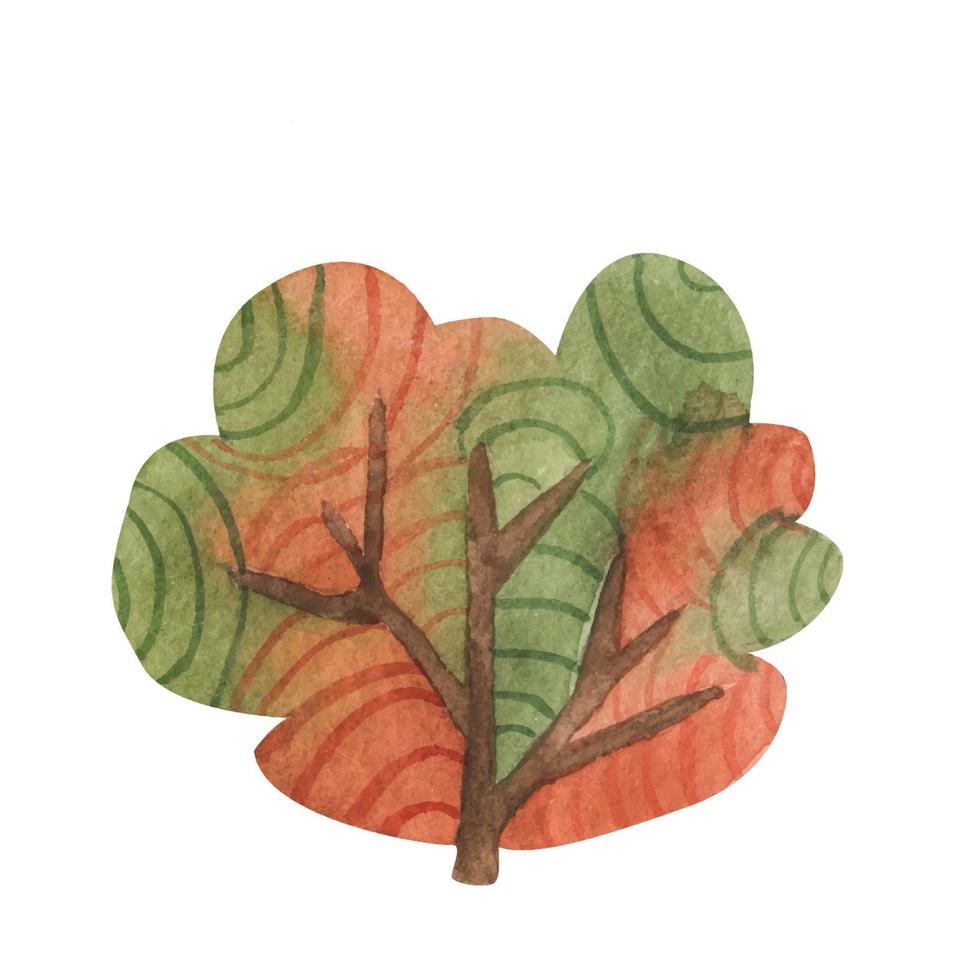 watercolor drawing of autumn trees, bushes and deciduous, red and yellow foliage, isolated natural elements, hand drawn illustration vector