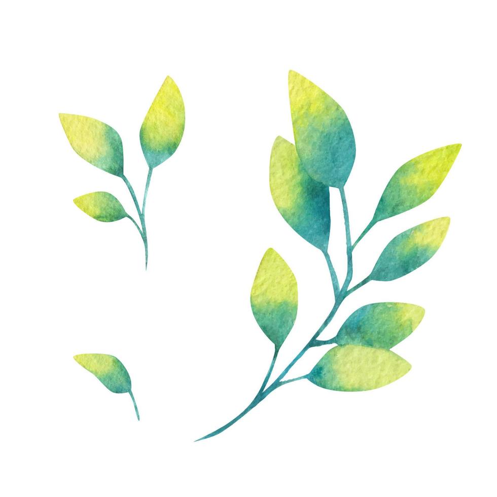 Set of watercolor abstract leaves vector