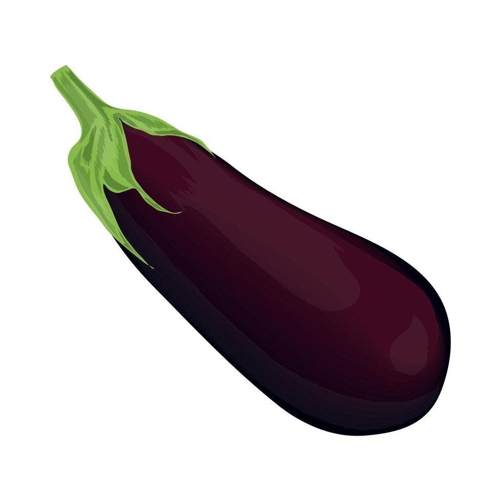 eggplant vegetable icon vector