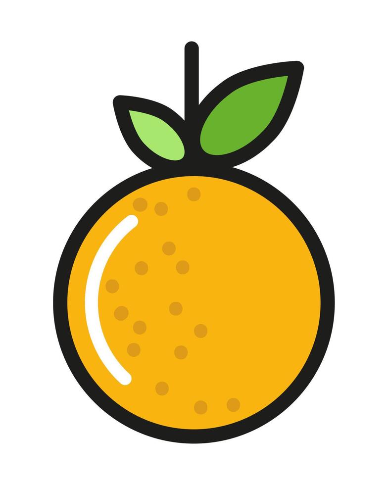 orange fruit icon vector