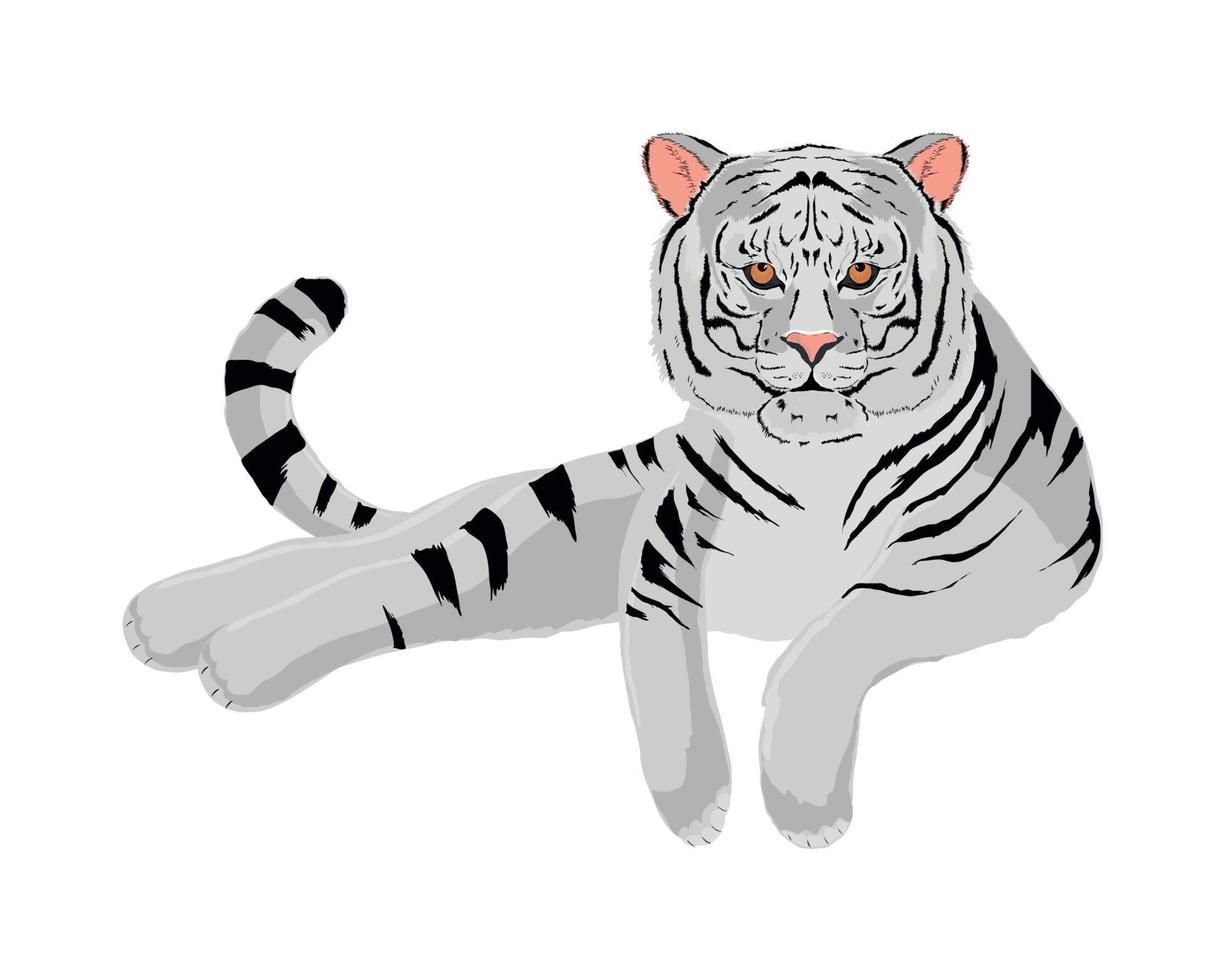 dibujos animados de tigre blanco vector