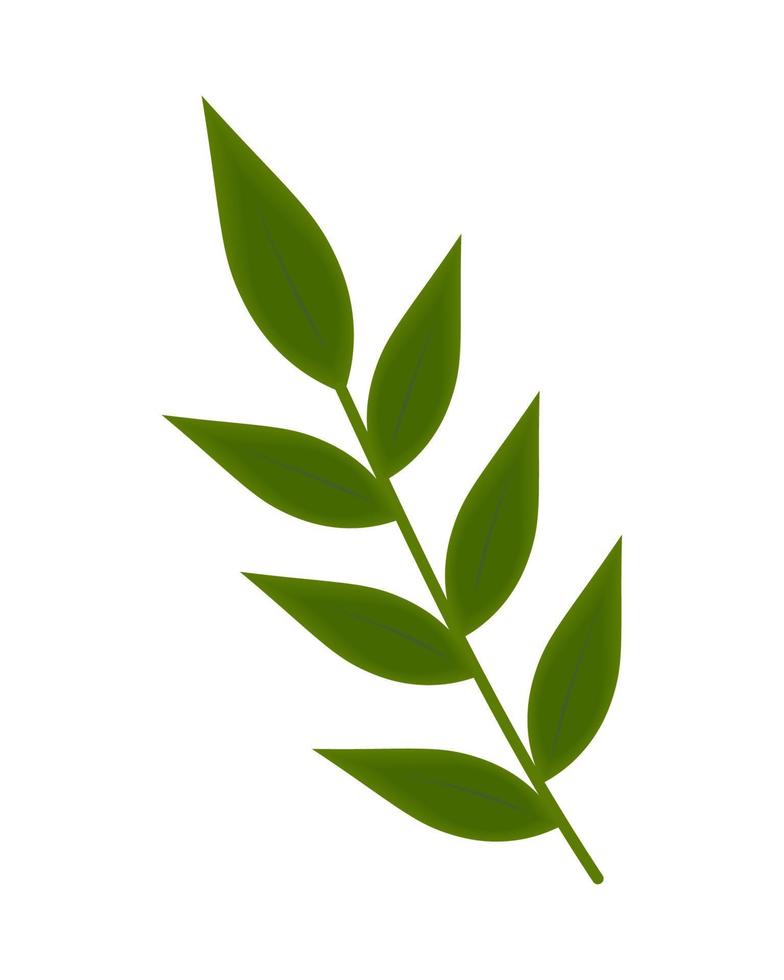 leaves branch foliage vector