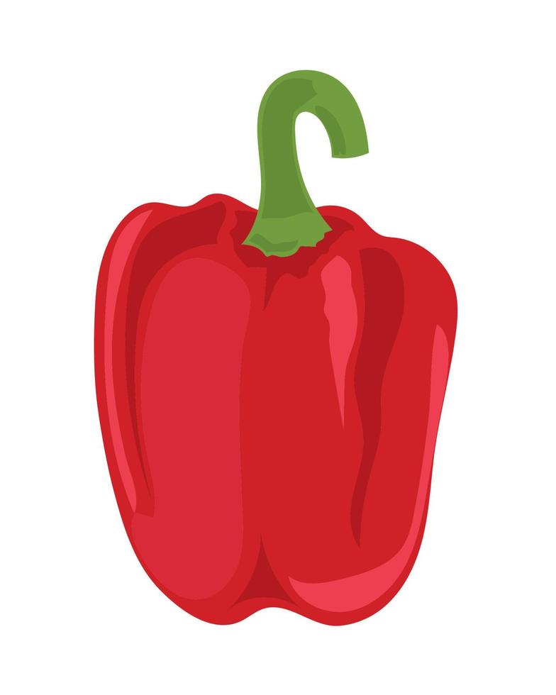 icono de pimiento rojo vector