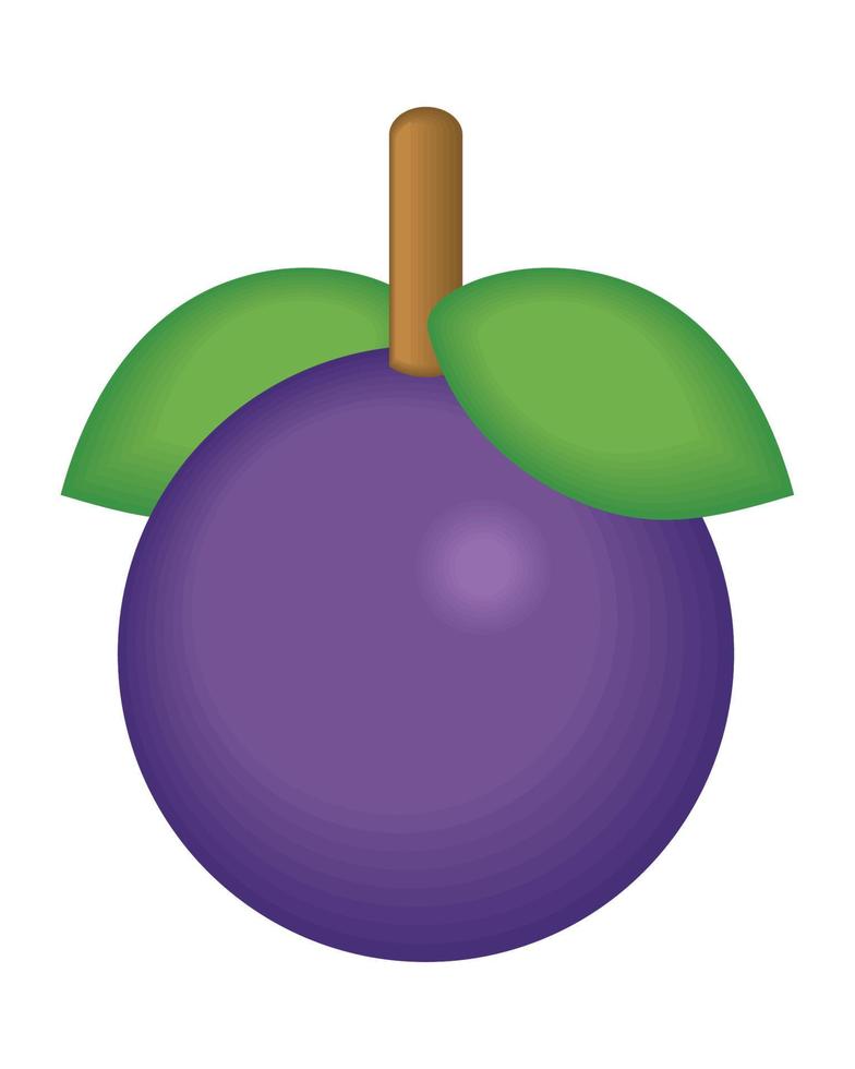 blueberry fruit icon vector