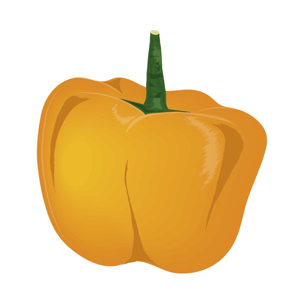 yellow pepper vegetable icon vector