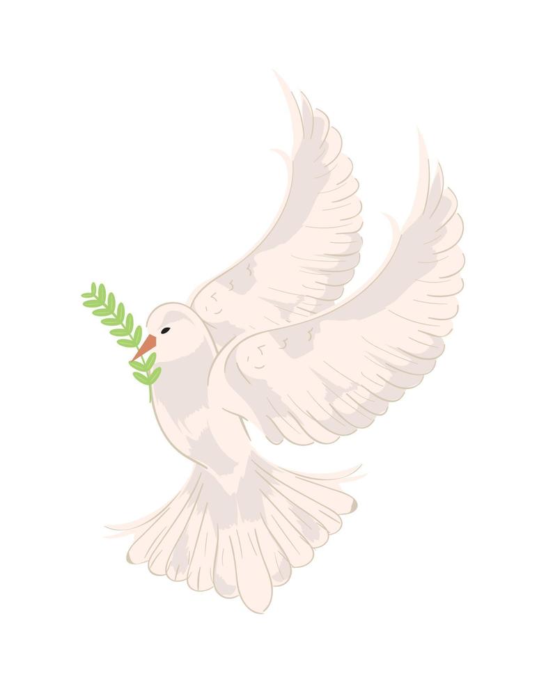 peace dove with branch vector