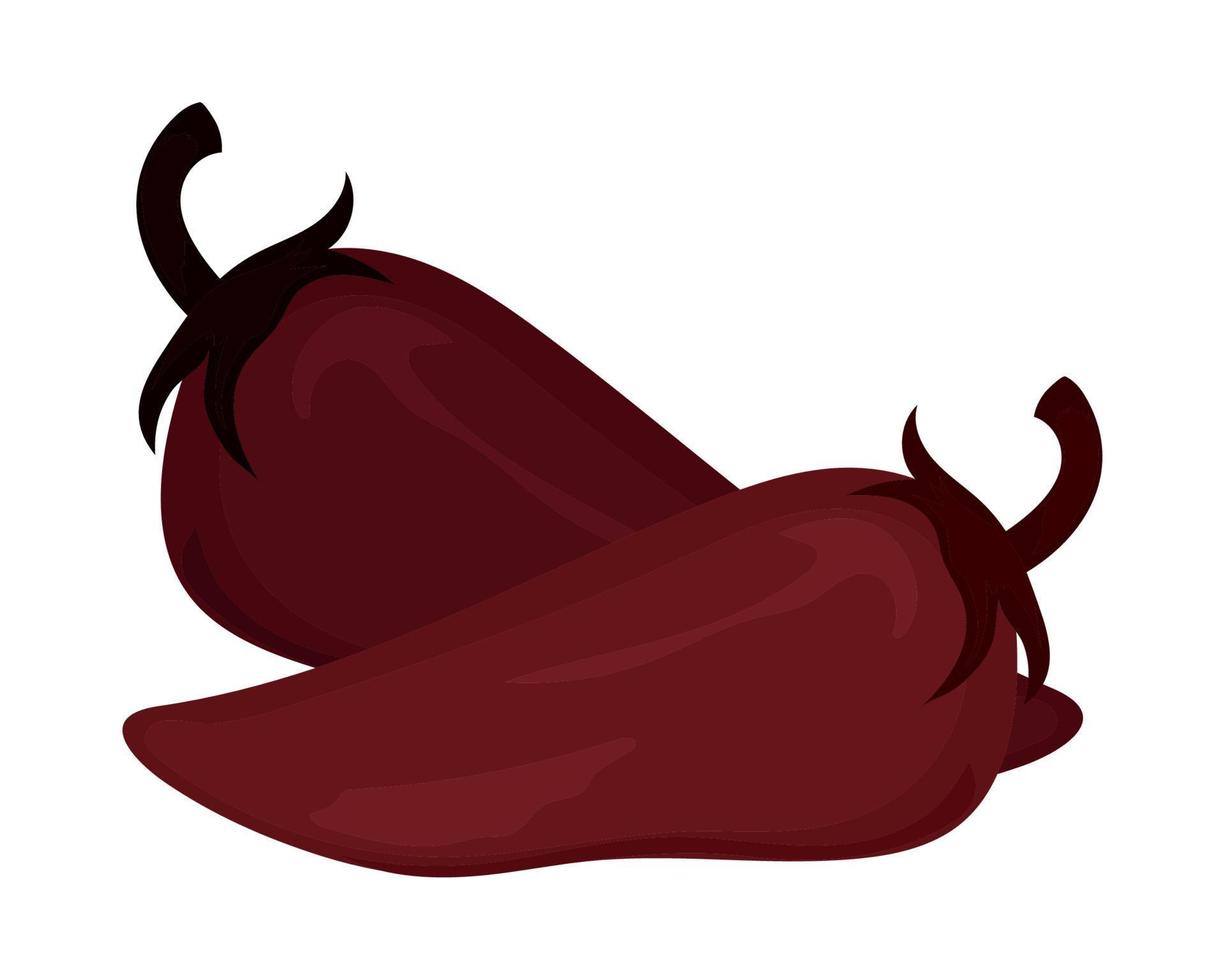 hot chili pepper vector