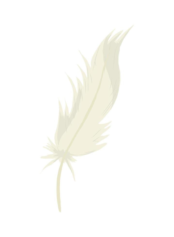 white feather icon vector