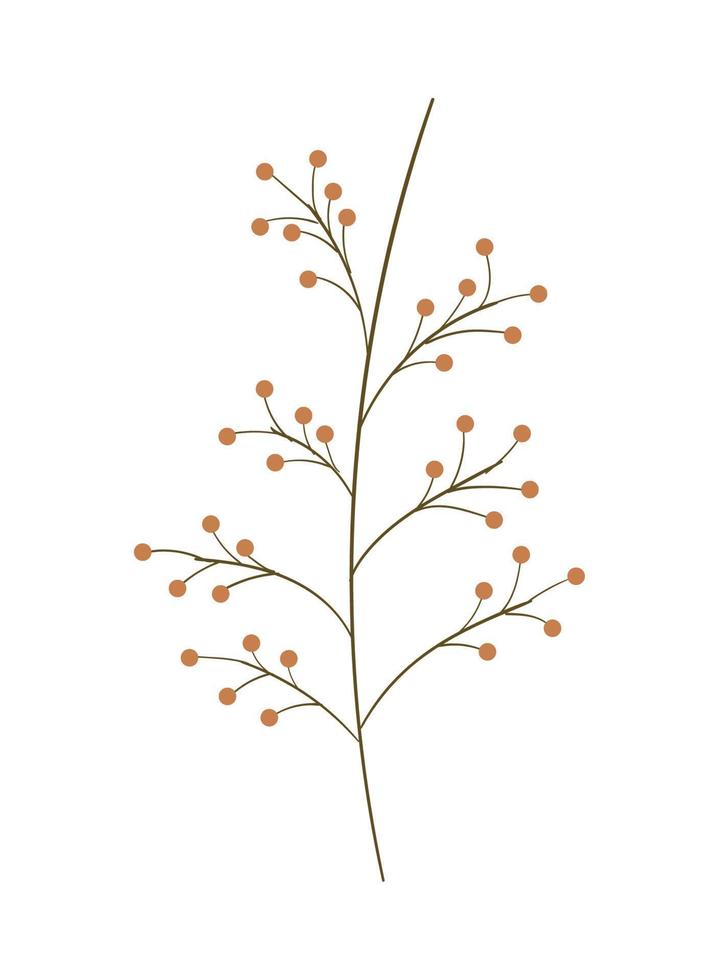 plant with fruits vector