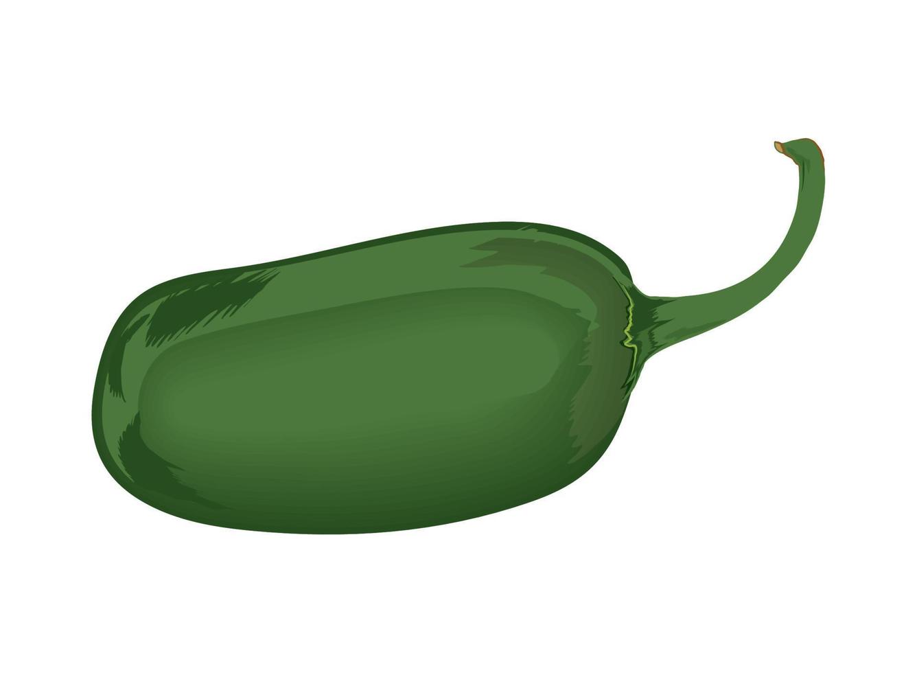 verdura de pimiento verde vector