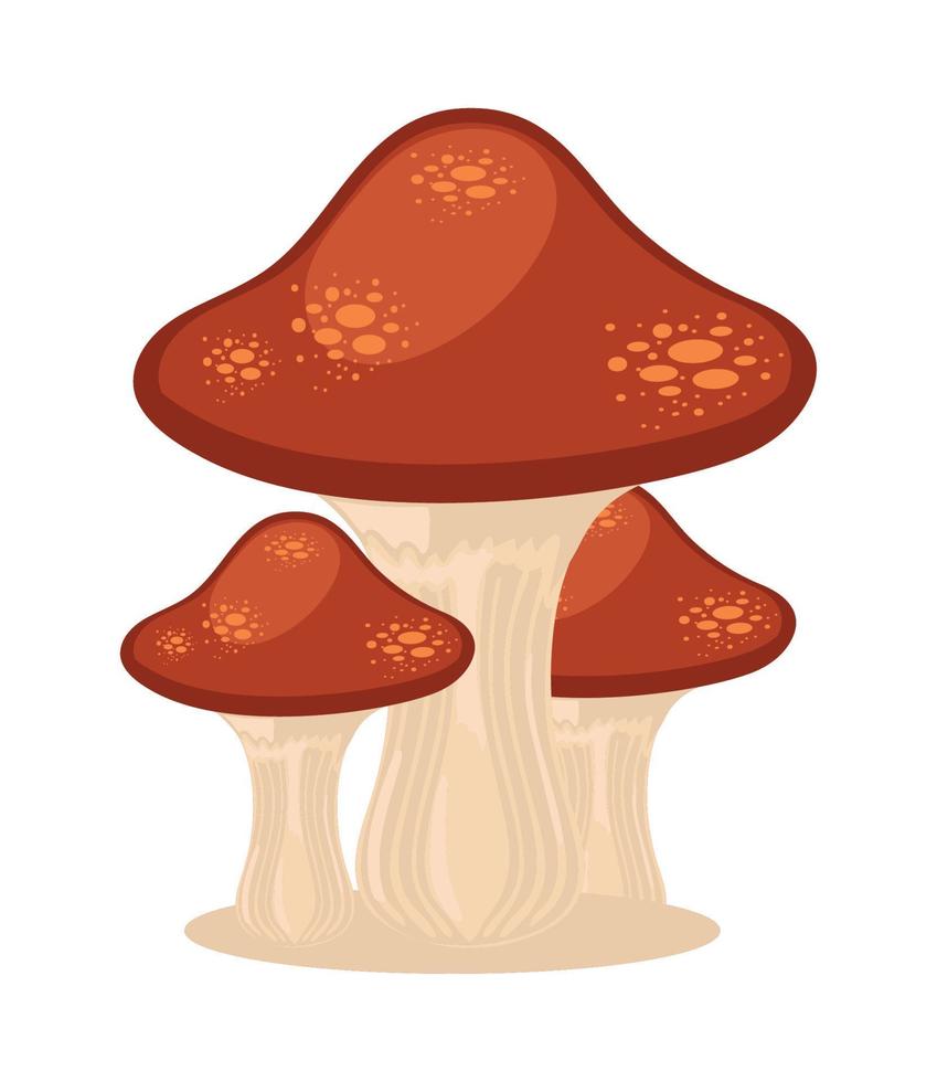 autumn mushrooms icon vector