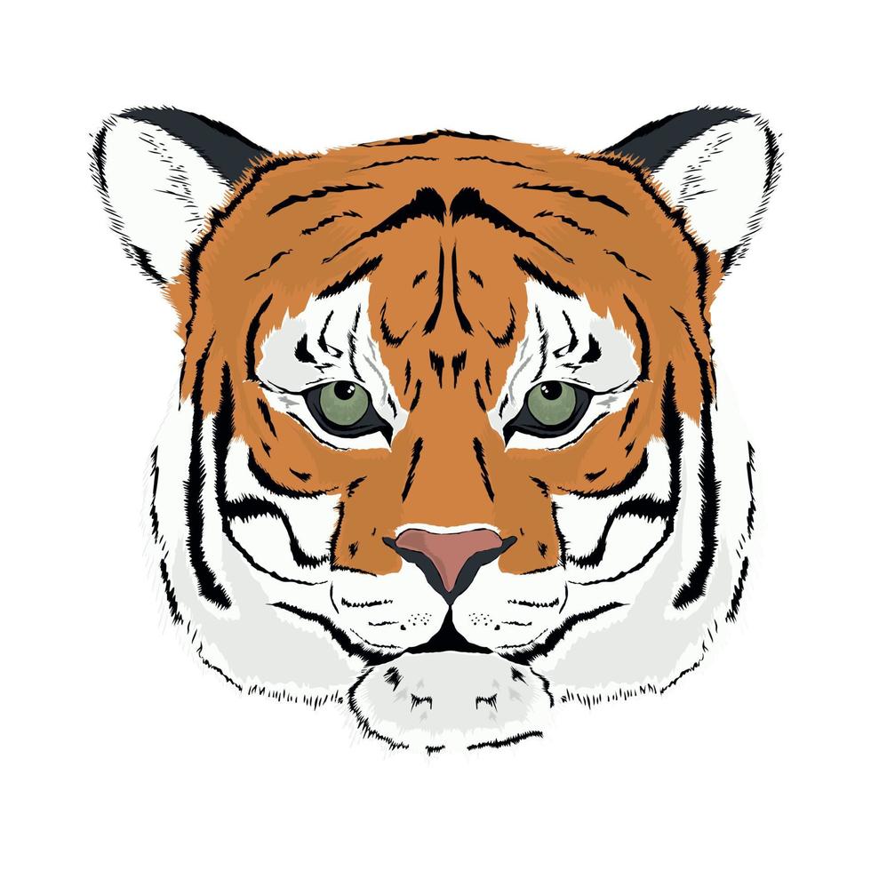 tiger flat icon vector