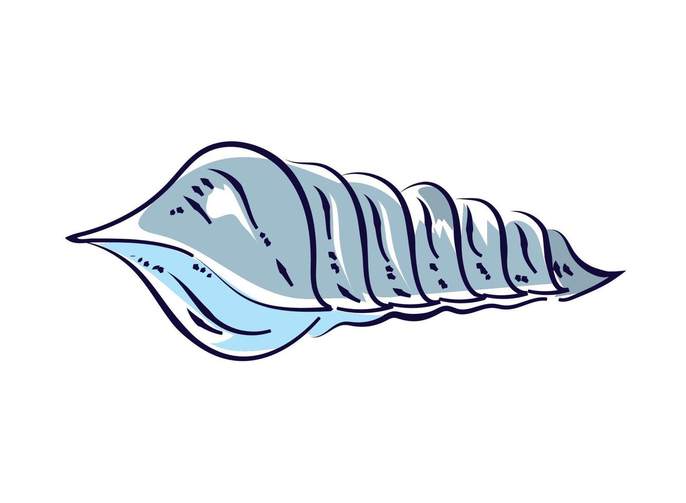 caracol de concha marina vector
