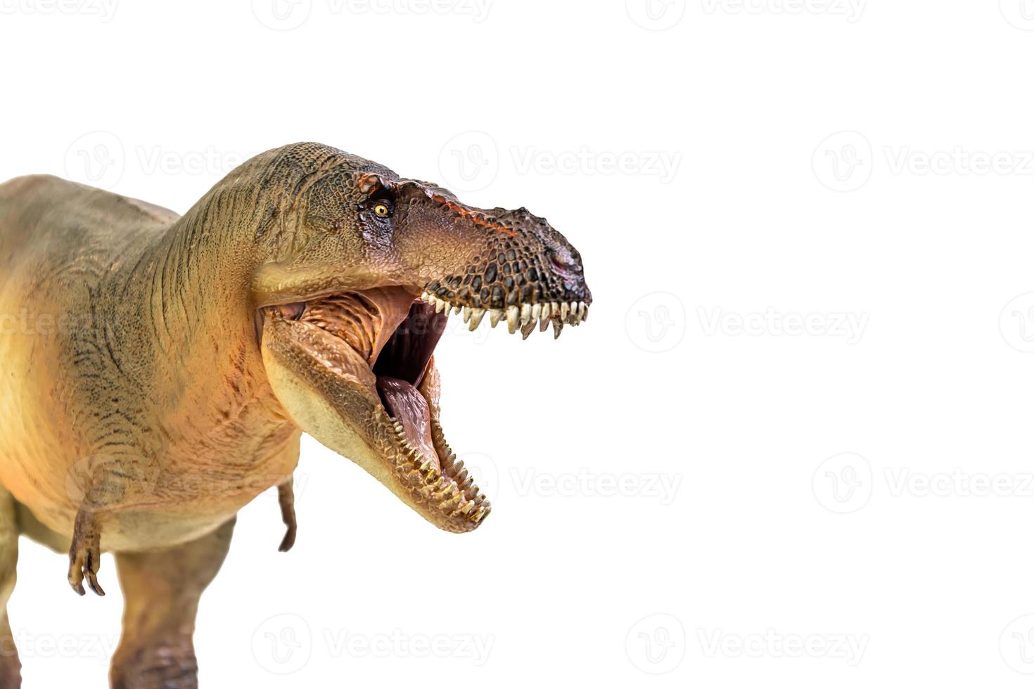 Tyrannosaurus Rex  Dinosaur on white isolate background Clipping path photo