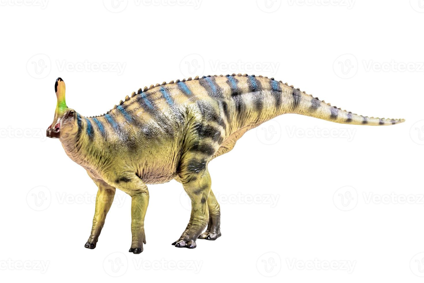 tsintaosaurus spinorhinus dinosaurio sobre fondo blanco aislado trazado de recorte foto