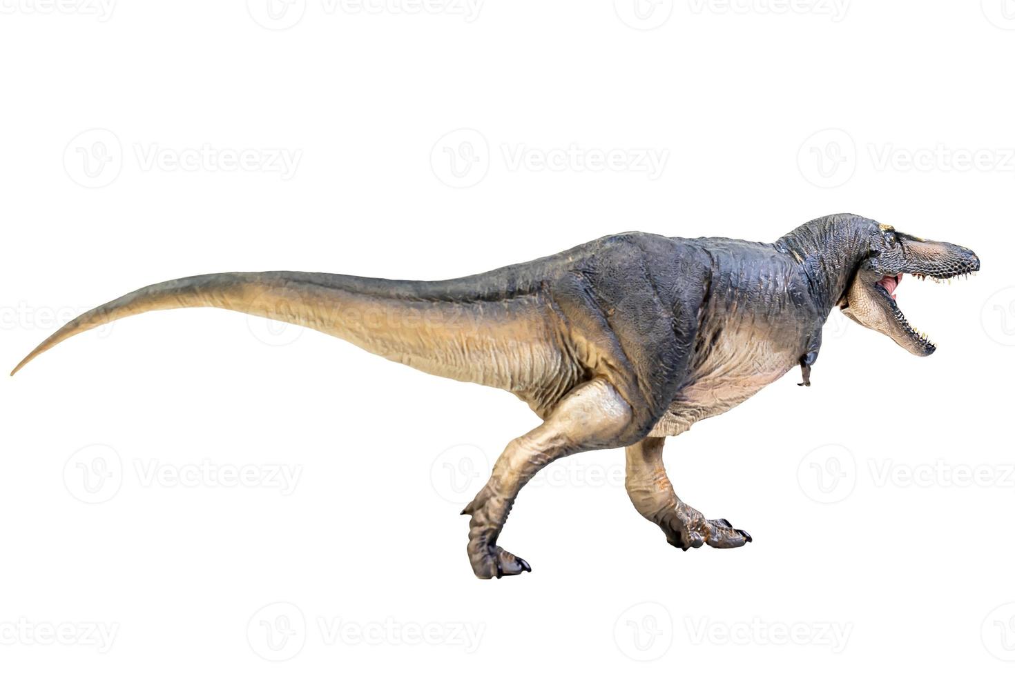 Tarbosaurus  Dinosaur on white isolate background Clipping path photo