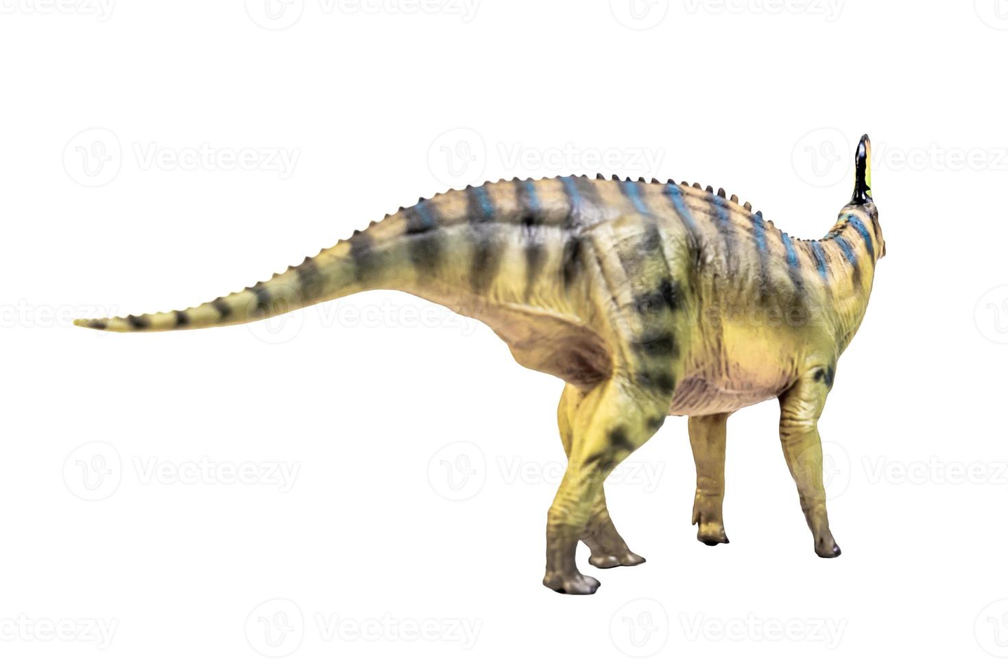 Tsintaosaurus Spinorhinus Dinosaur on white isolate background Clipping path photo