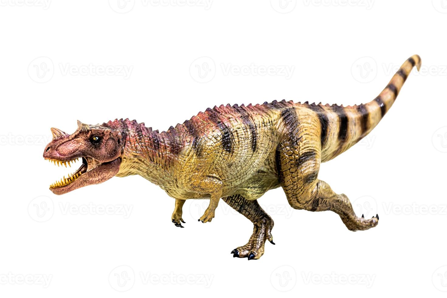 Ceratosaurus Dinosaur on white isolate background Clipping path photo