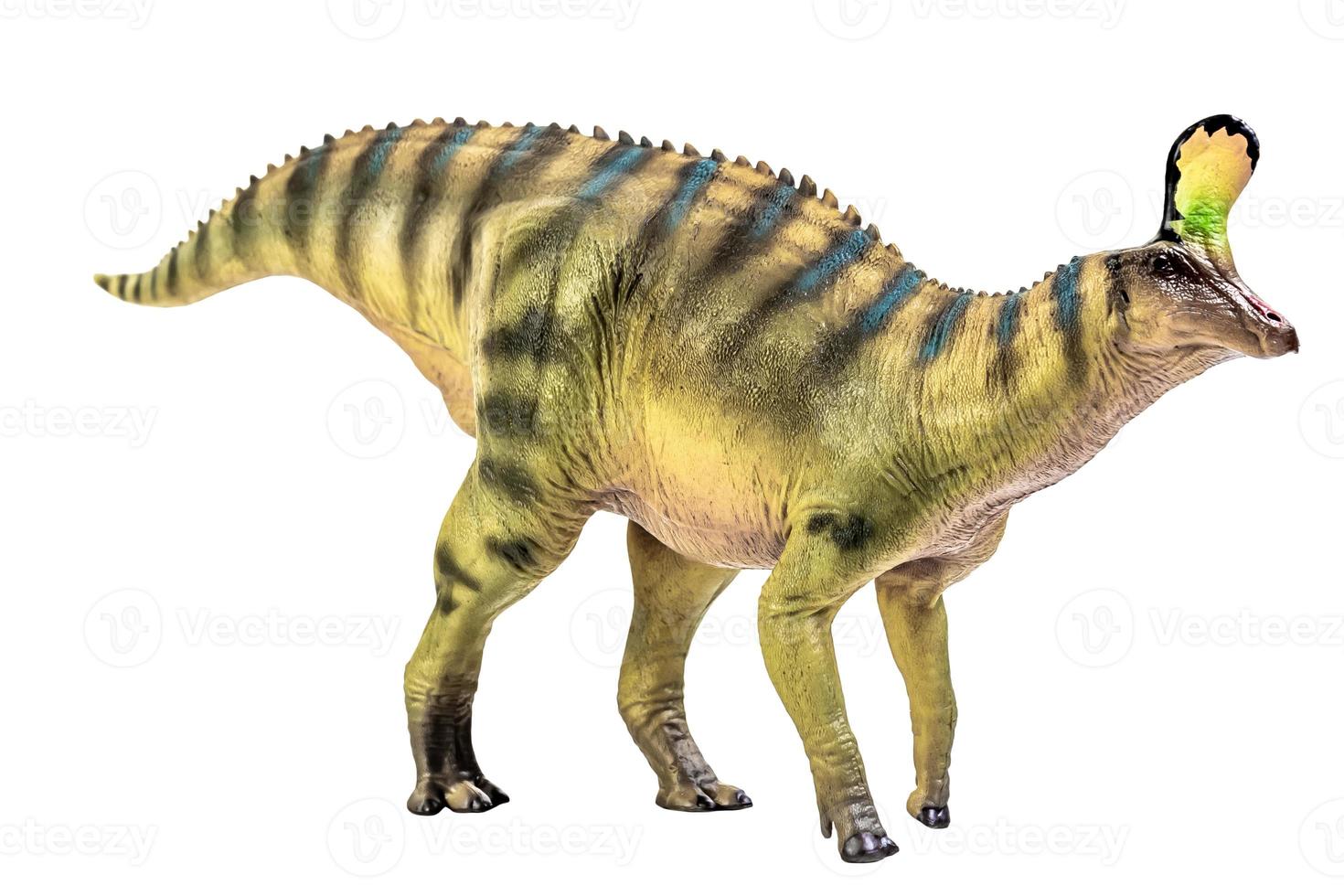 Tsintaosaurus Spinorhinus Dinosaur on white isolate background Clipping path photo