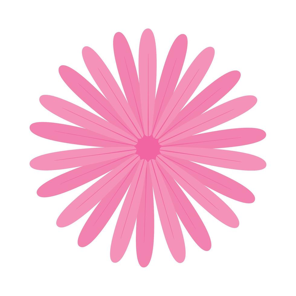 pink flower petals vector