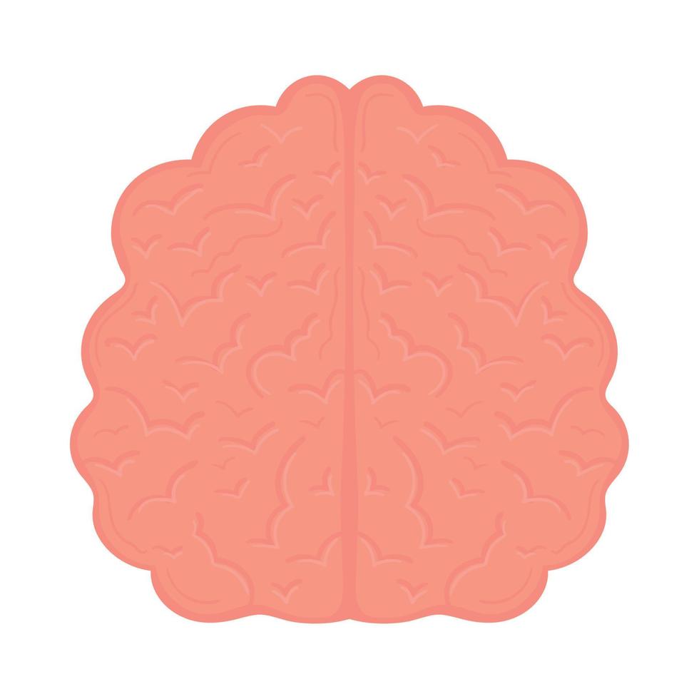 human brain icon vector