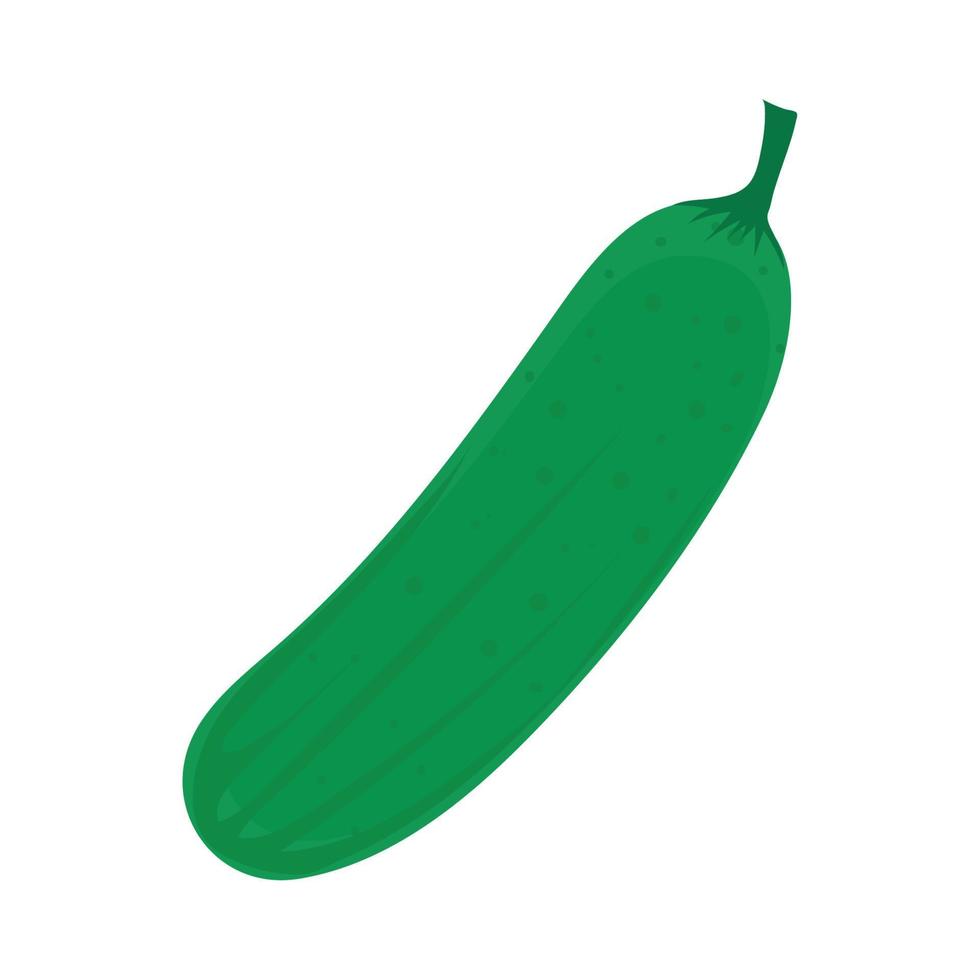cucumber vegetable icon vector