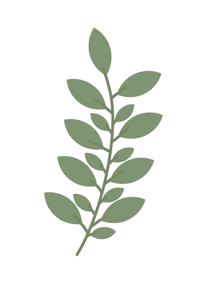 branch leaves nature vector