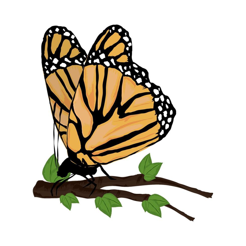 butterfly on branch tree vector