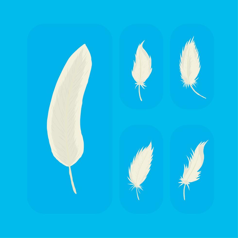 iconos plumas blancas vector